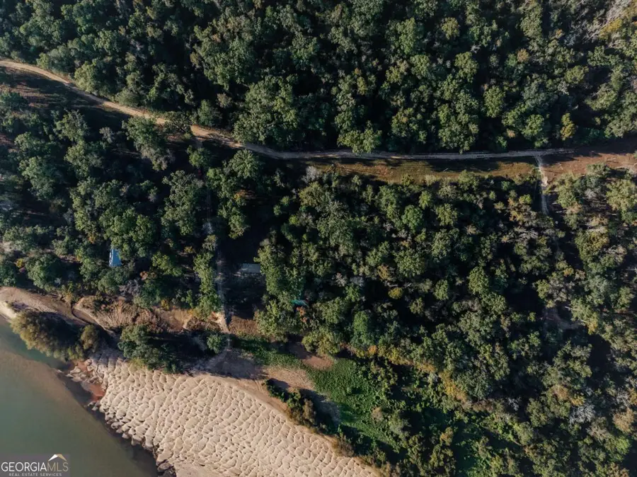 0 Eagles Point #LOT 11, Surrency, GA 31563 - Image #2