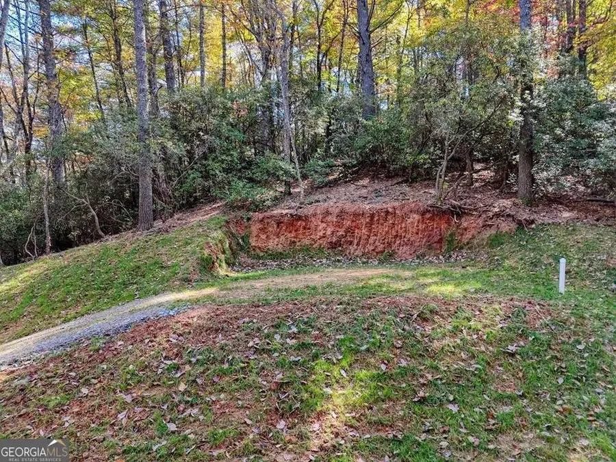 LOT 8 Cindy Cove, Blairsville, GA 30512 - Image #3