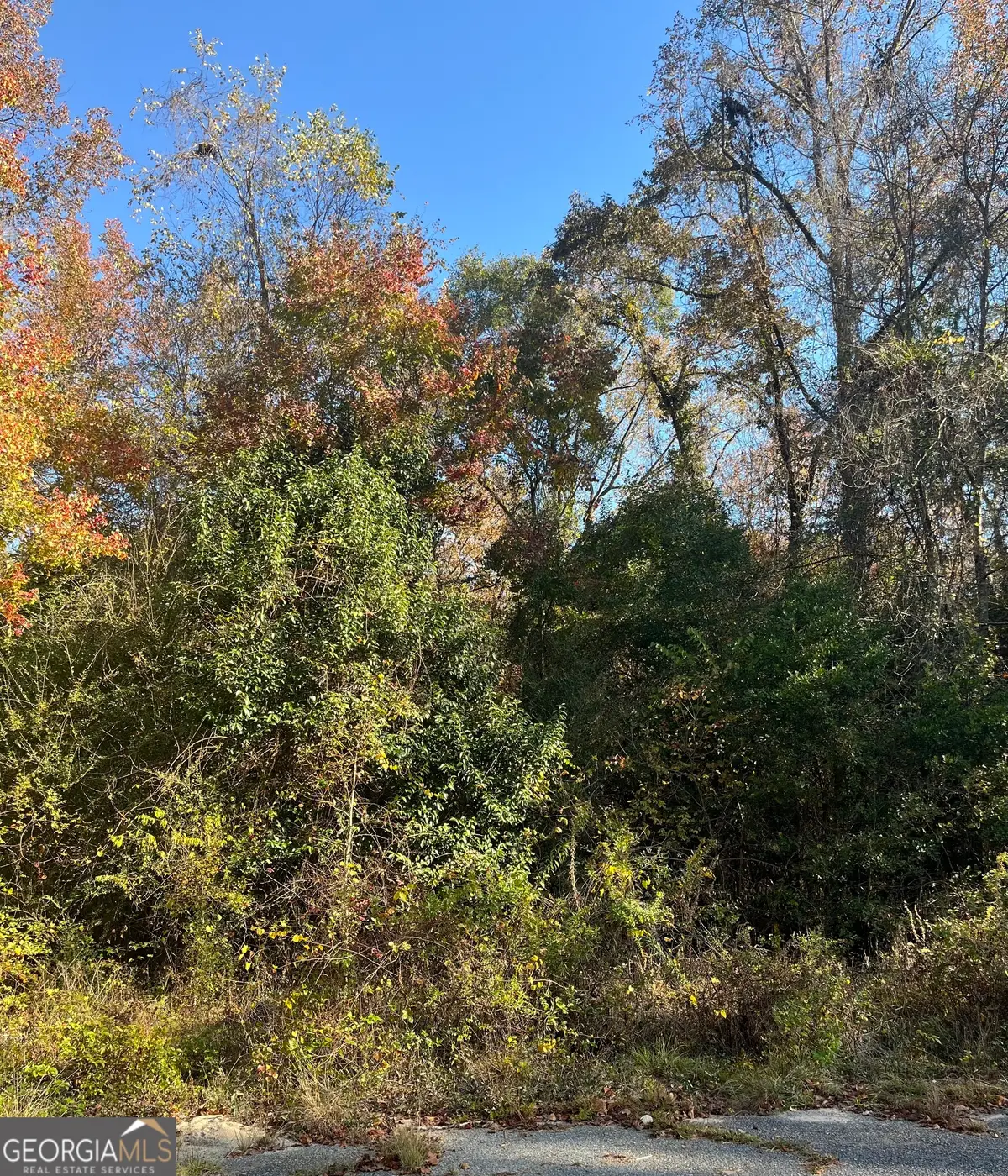 0 Kings Court N, Macon, GA 31211 - Image #1