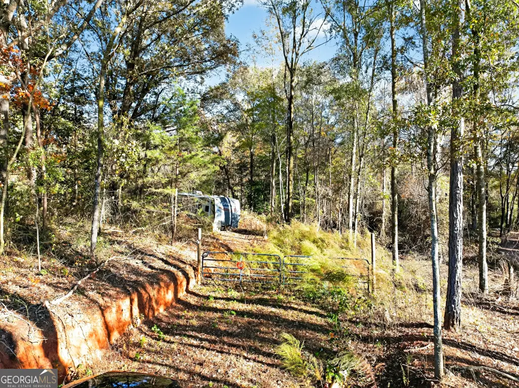 6602 New Franklin Church Road, Canon, GA 30520 - Image #1