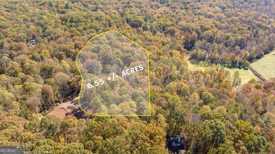 1010 Meadowview Ridge, Clarkesville, GA 30523 - #3