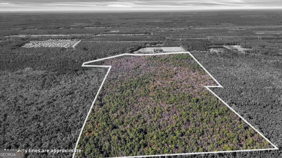 215 Herbert Kessler Road, Guyton, GA 31312 - Image #2