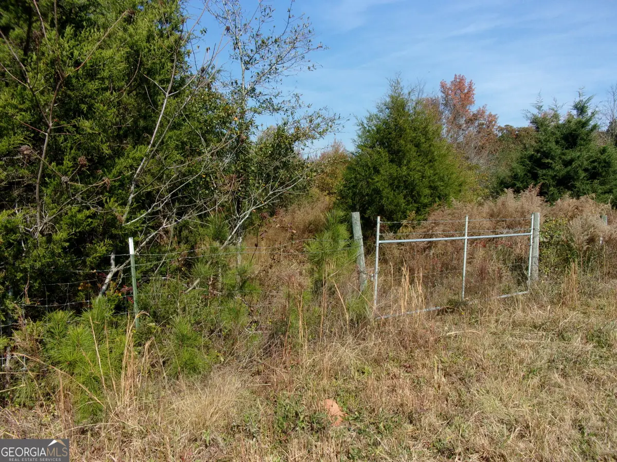 0 River Road, Carlton, GA 30627 - Image #1