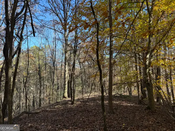 0 Whitestone Road, Talking Rock, GA 30175