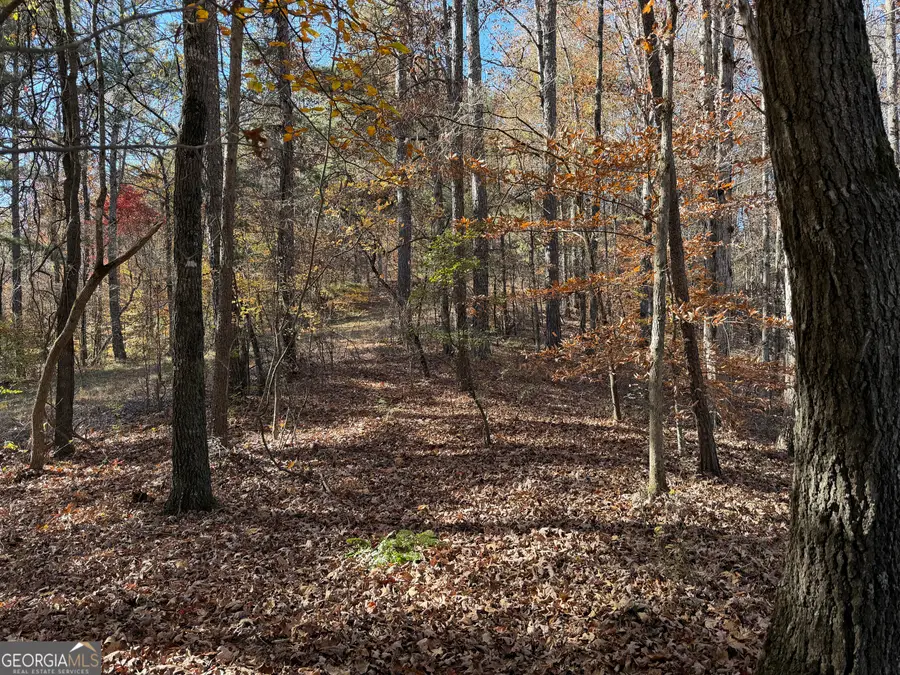 0 Whitestone Road, Talking Rock, GA 30175 - Image #2