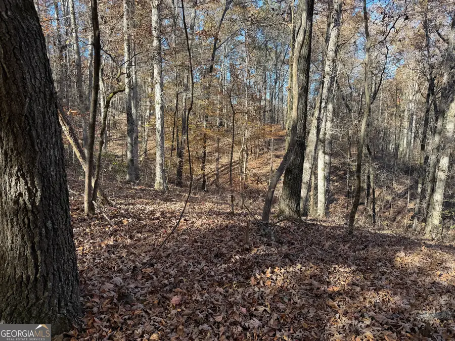 0 Whitestone Road, Talking Rock, GA 30175 - Image #3