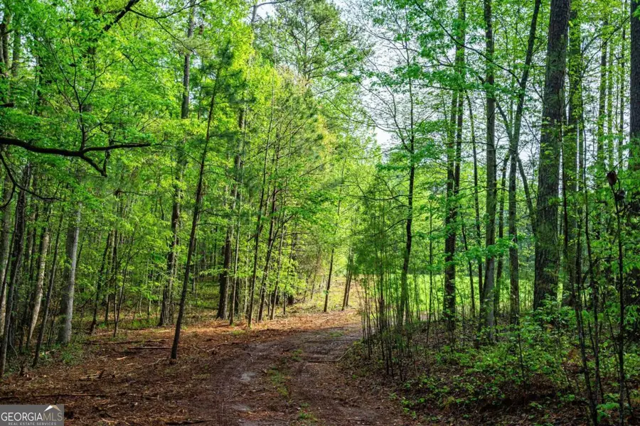 0 Cameron Mill Road, Lagrange, GA 30240 - Image #2