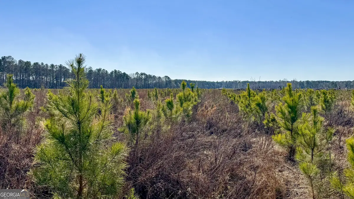 0 Highway 301 #14, Statesboro, GA 30461 - Image #1