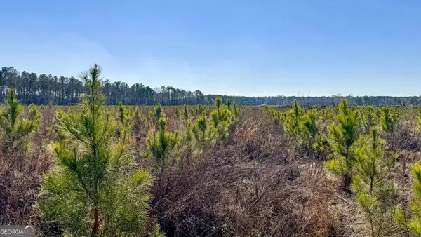 0 Highway 301 #14, Statesboro, GA 30461