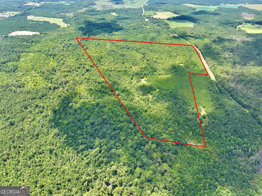 0 Liberty Grove Church Road, Wrightsville, GA 31096 - Image #3