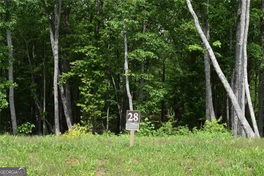 LOT 28 High Summit Drive #28, Talking Rock, GA 30175 - #3