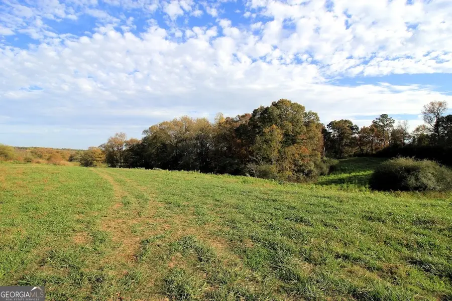 1254 Ayers Road, Bowdon, GA 30108 - Image #2