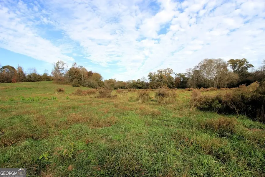 1254 Ayers Road, Bowdon, GA 30108 - Image #3