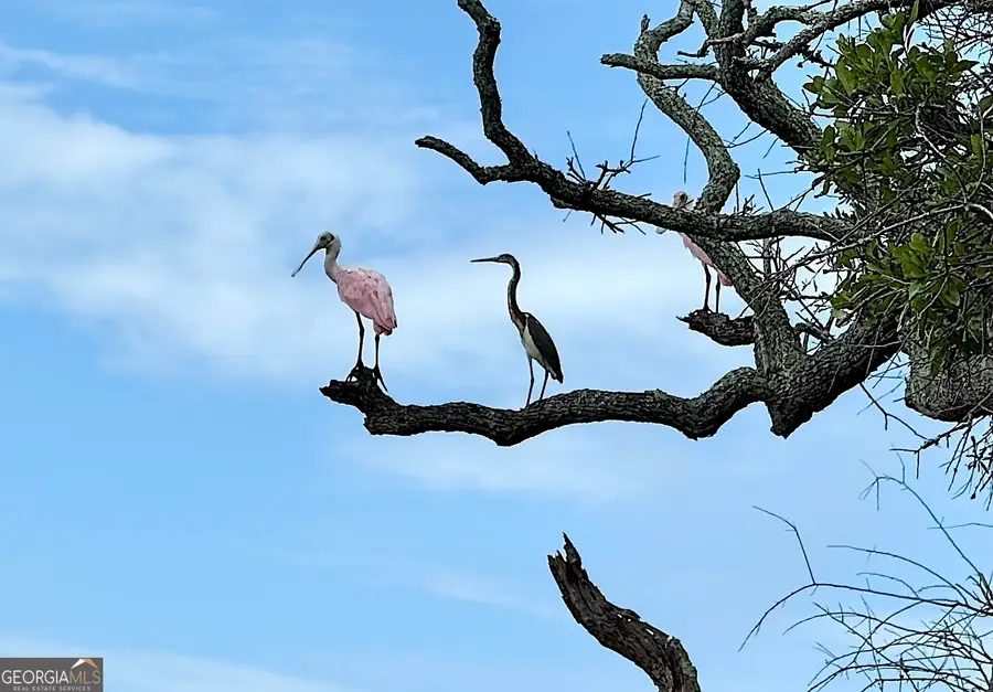 308 Cumberland Harbour Boulevard, Saint Marys, GA 31558 - #2