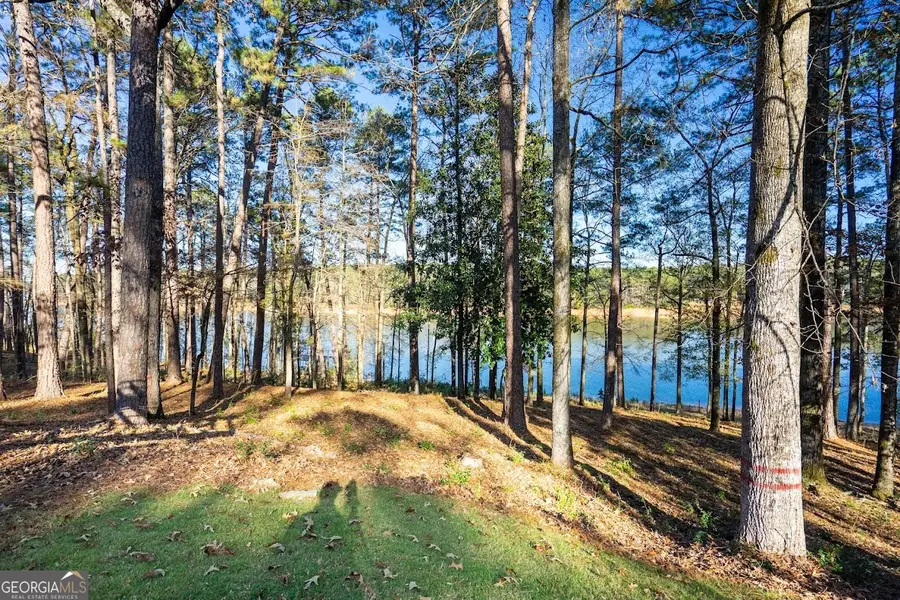 116 Deal Drive, Lagrange, GA 30240 - Image #3