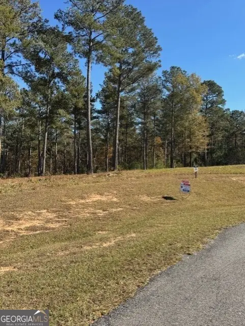 111 Stormy Drive, Eatonton, GA 31024 - Image #3