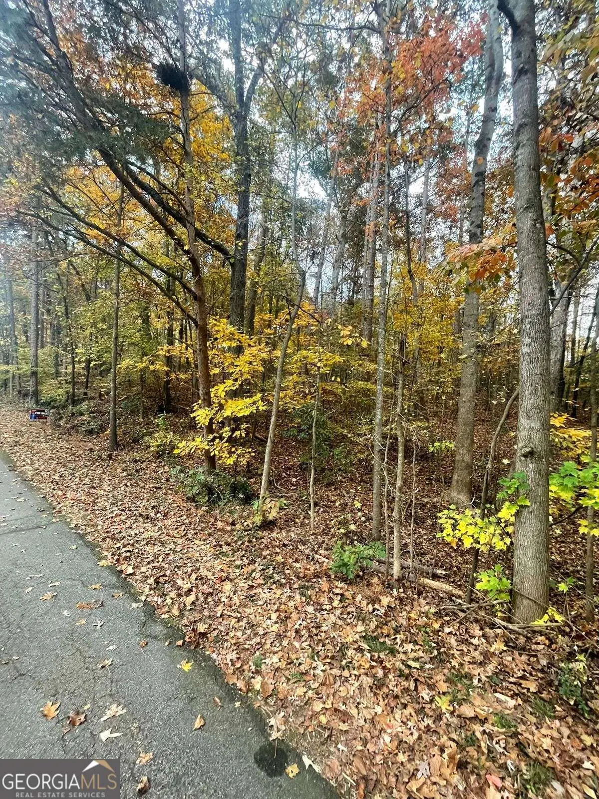 0 Lake Club Drive, Lavonia, GA 30553 - Image #1