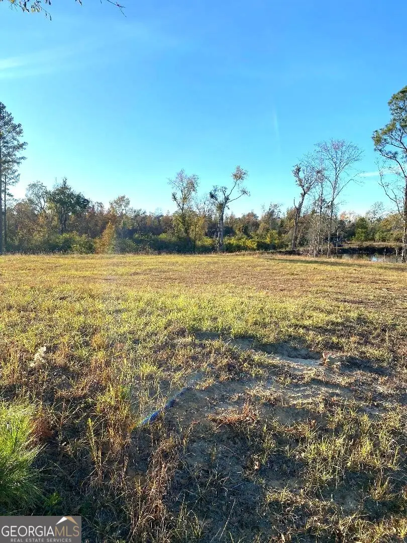 0 Modoc Road, Swainsboro, GA 30401 - Image #2