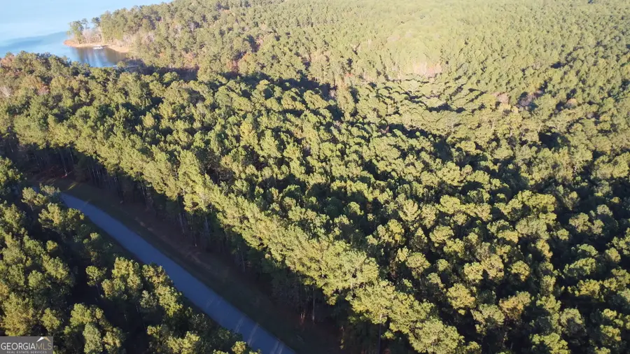 LOT 7 Lighthouse Pointe, Lincolnton, GA 30817 - Image #3