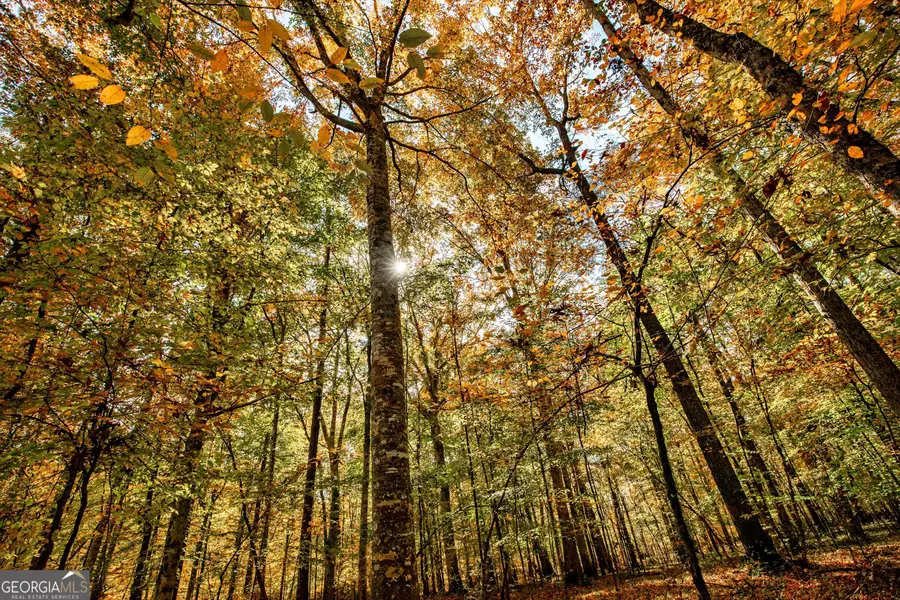 0 Morgan Mill Road, Senoia, GA 30276 - Image #2