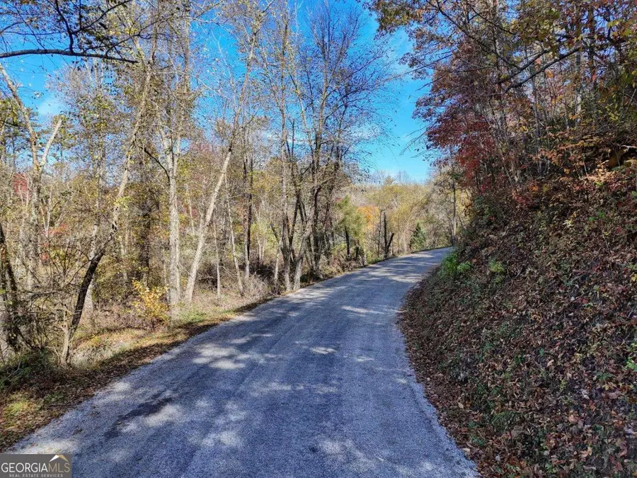 2.24 AC Lower Star Creek Road, Morganton, GA 30560 - Image #3