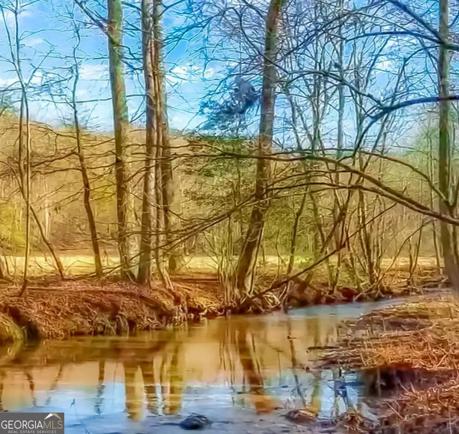 14551 E Hwy 52, Ellijay, GA 30536 - Image #2