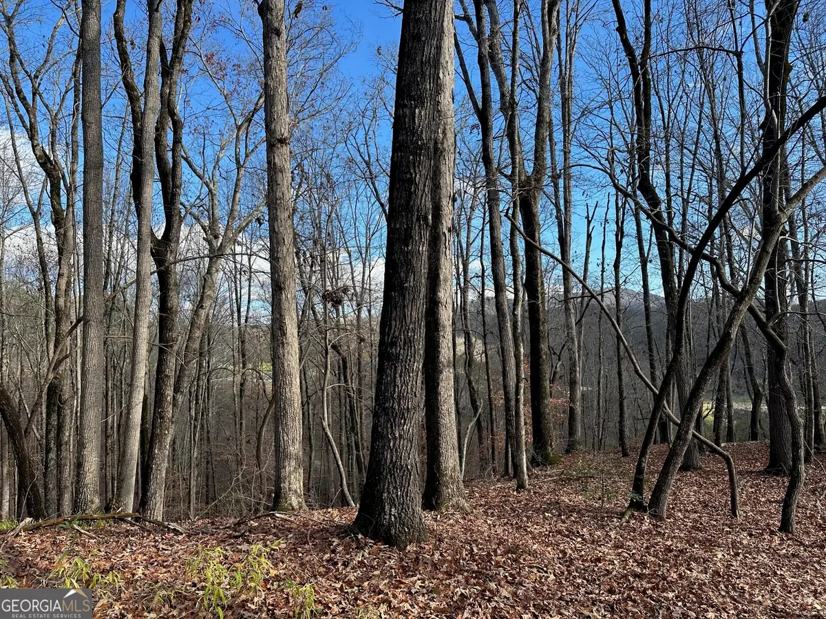 200 Mincey Acres Drive, Murrayville, GA 30564 - Image #1