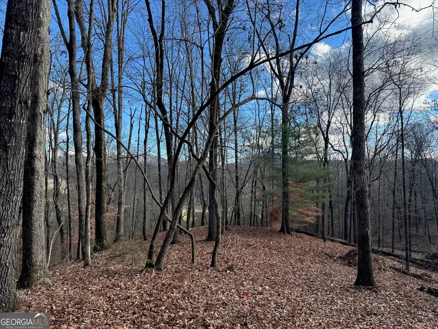 200 Mincey Acres Drive, Murrayville, GA 30564 - Image #3