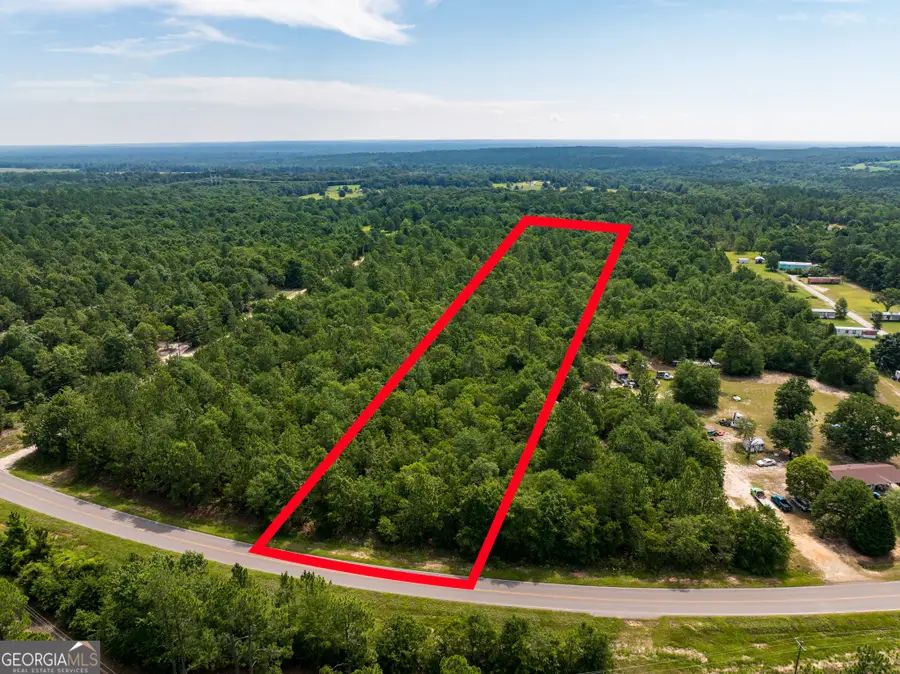 10.5 ACRES (LOT River Road, Waynesboro, GA 30830 - Image #2