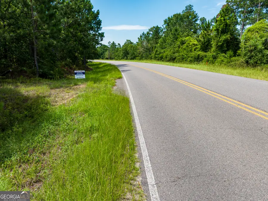 10.5 ACRES (LOT River Road, Waynesboro, GA 30830 - Image #3