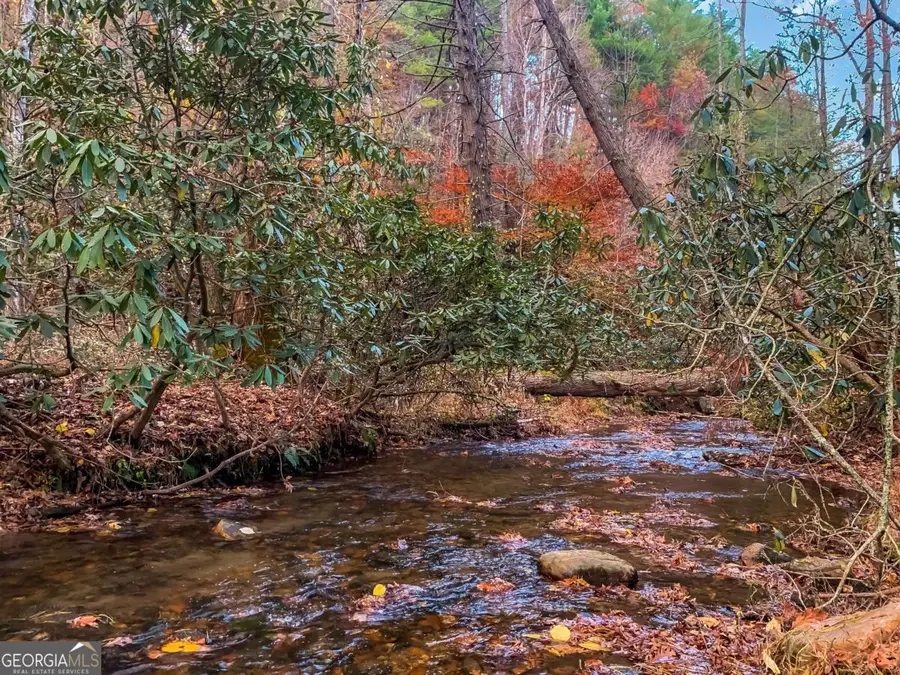 60 Bailey Creek Drive, Blue Ridge, GA 30513 - #3