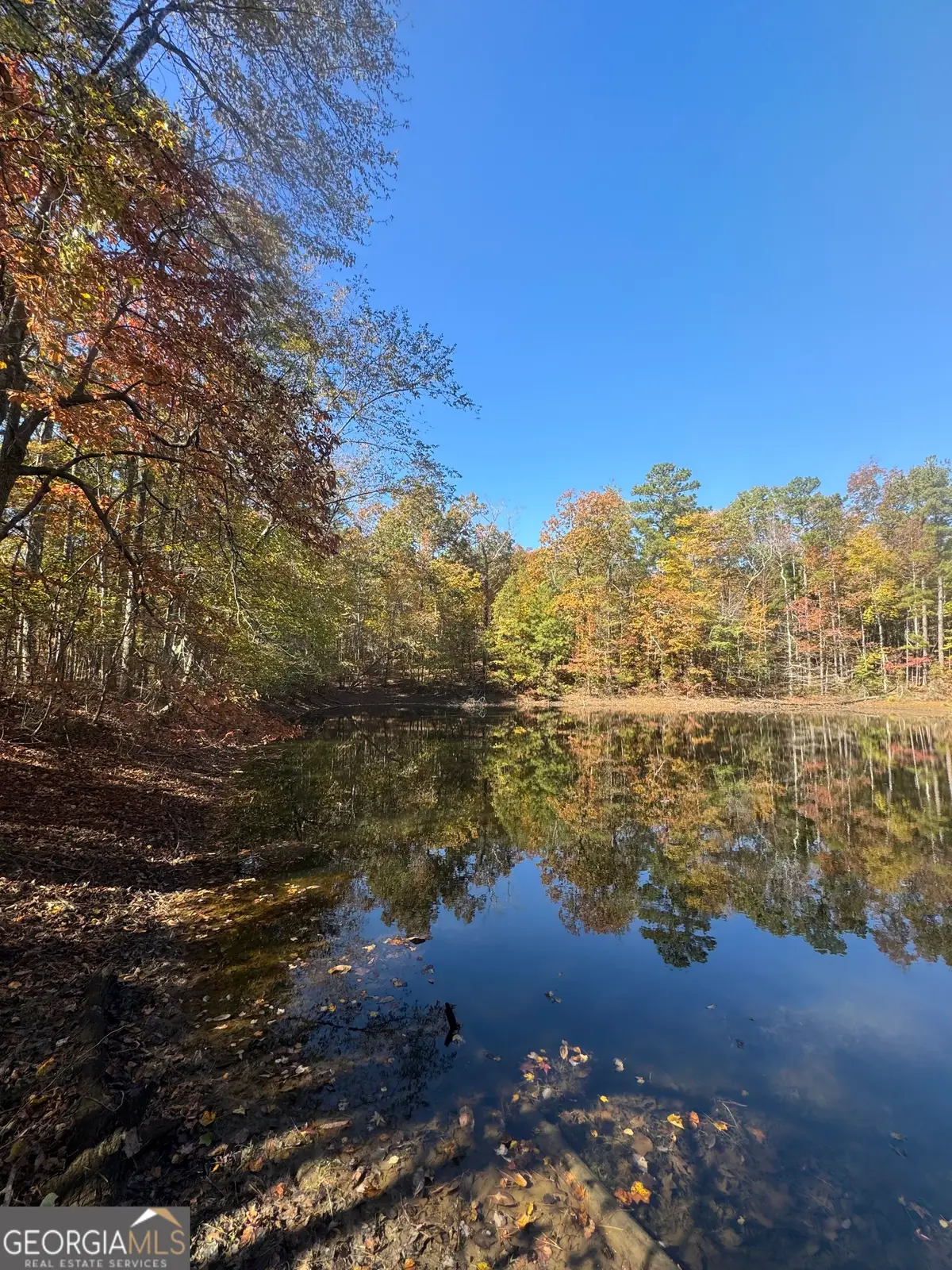 2184 Jones Mill Road, Whitesburg, GA 30185 - Image #1