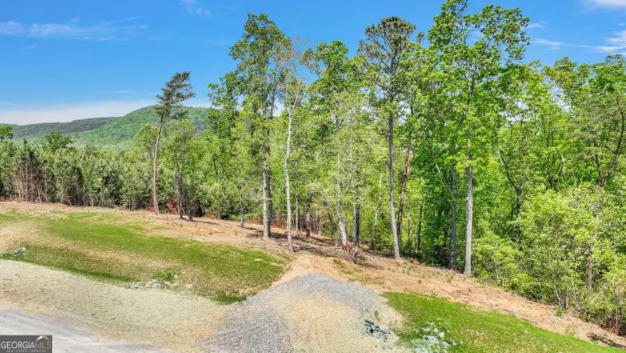 655 Lookout Valley Trail, Talking Rock, GA 30175 - Image #2