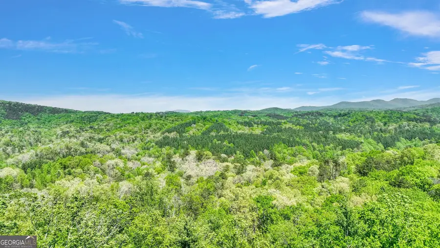 655 Lookout Valley Trail, Talking Rock, GA 30175 - Image #3