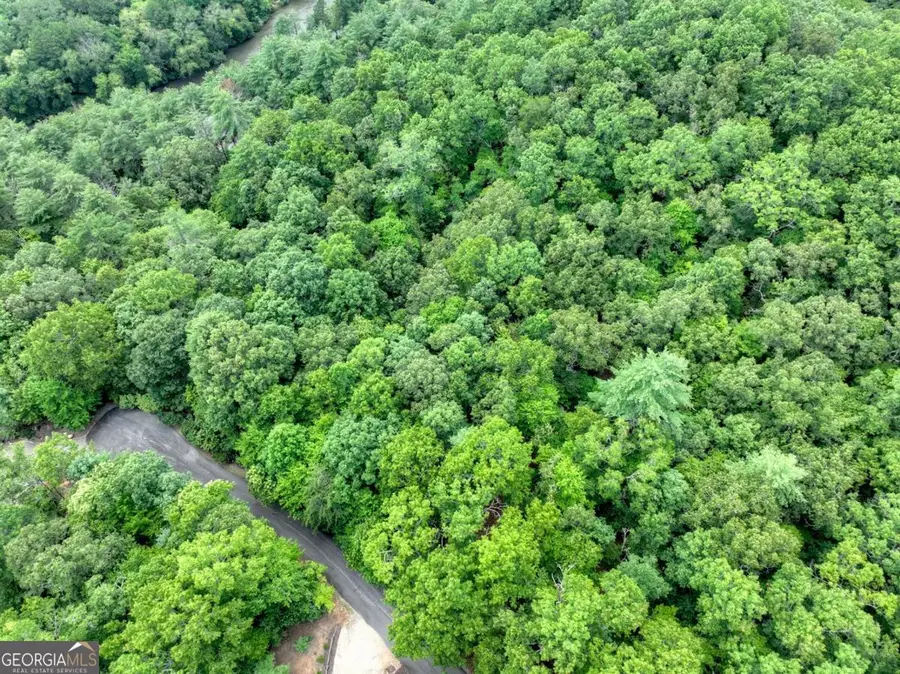 LOT 68 Riverwalk On The Toc #68, Mineral Bluff, GA 30559 - Image #3