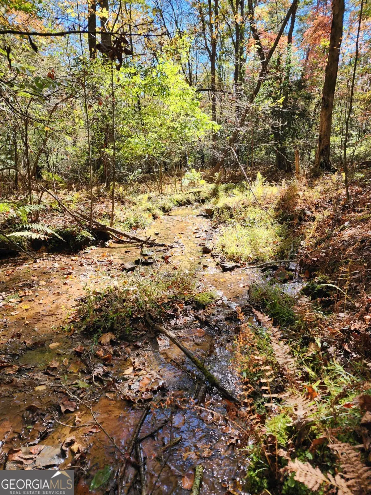 0 Grace Drive, Blue Ridge, GA 30513 - #1