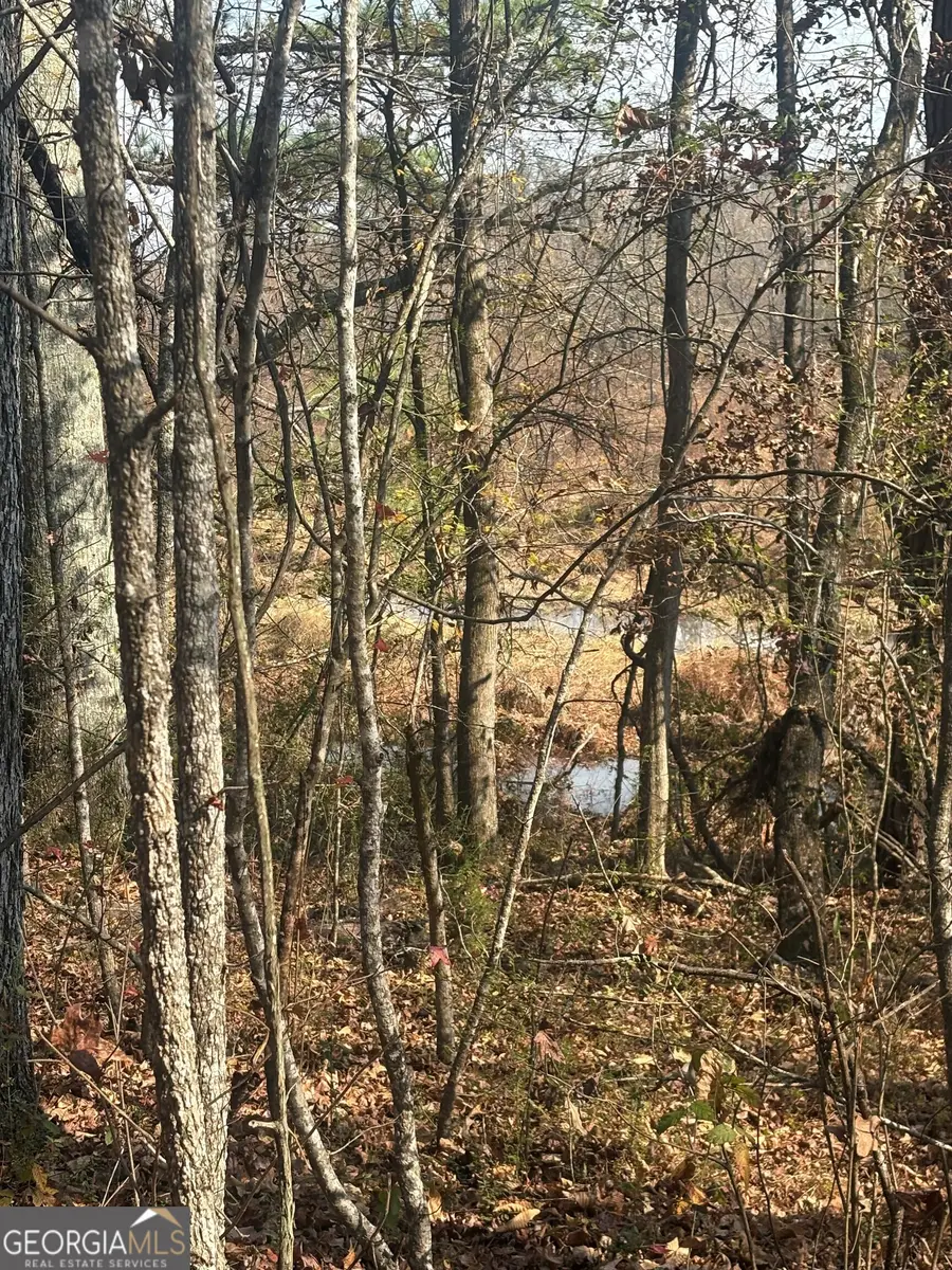 500 Askin Place, Culloden, GA 31016 - Image #3