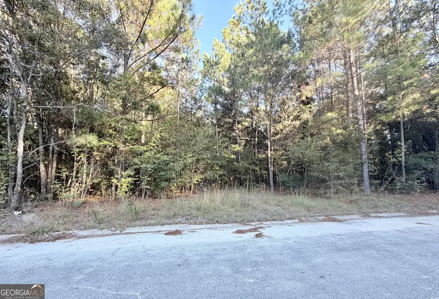 291 Sawdust Trail, Waycross, GA 31503 - Image #2