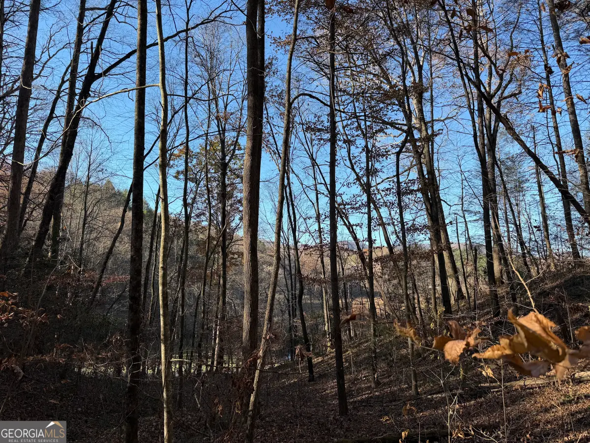 0 Whitepath Road, Ellijay, GA 30540 - #1