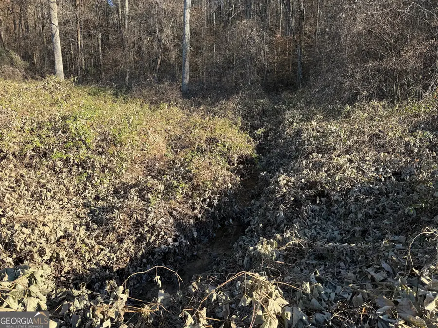 0 Whitepath Road, Ellijay, GA 30540 - #2