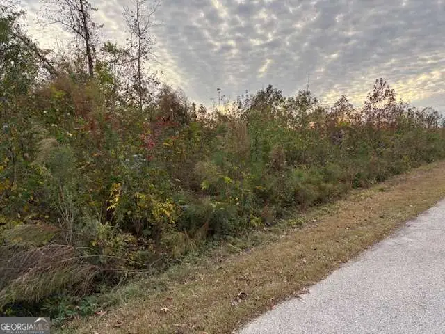 243 Kendall Drive, Griffin, GA 30224 - Image #1