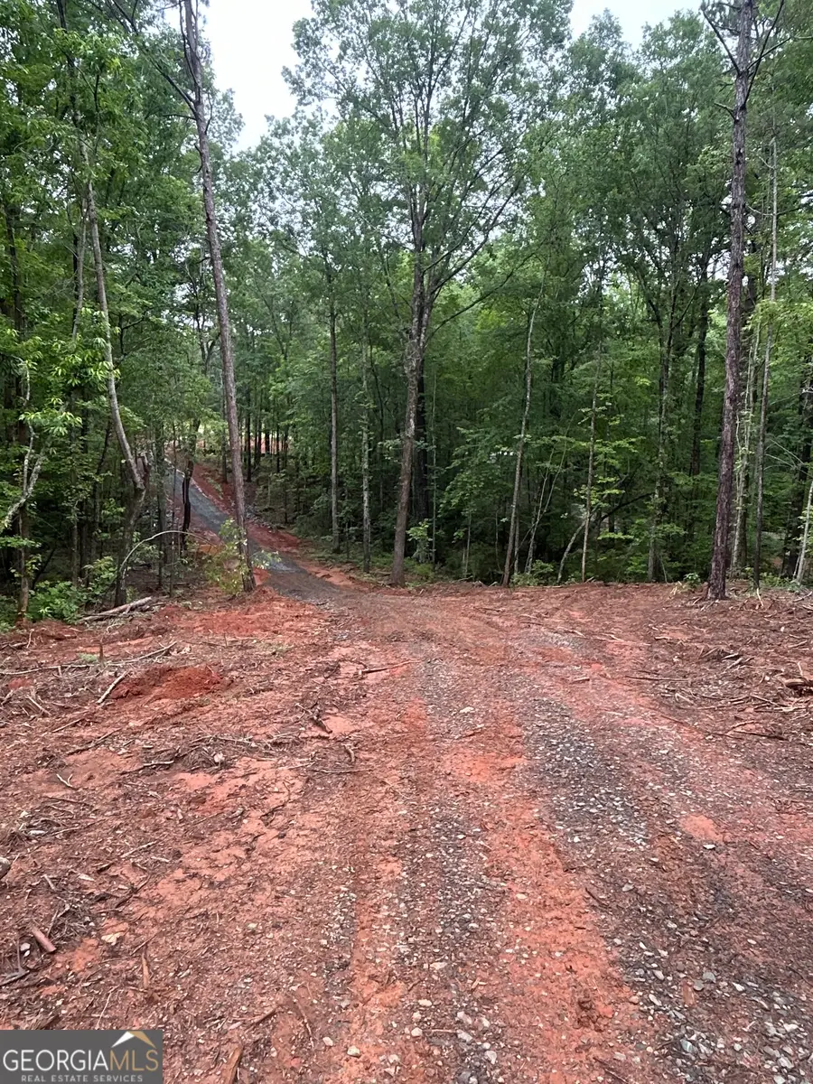 351 Cherokee Trail, Forsyth, GA 31029 - Image #3