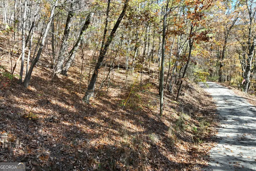 LOT 34 Wauka Ridge Road, Clermont, GA 30527 - Image #2
