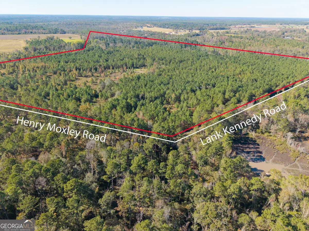 1 Henry Moxley Road, Cobbtown, GA 30420 - Image #1