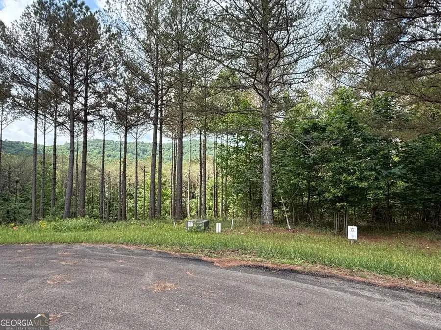 LOT 9 Eastview Trail, Ellijay, GA 30536 - Image #3
