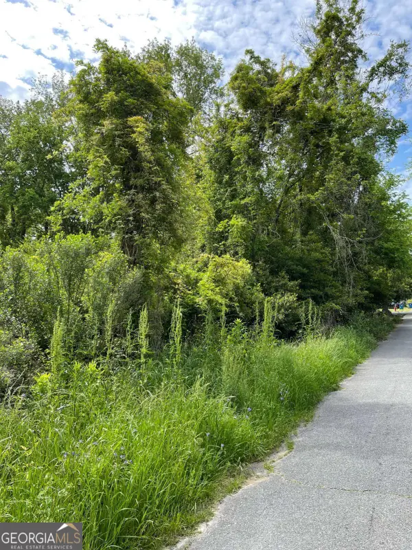 209 Lively Street, Vidalia, GA 30474