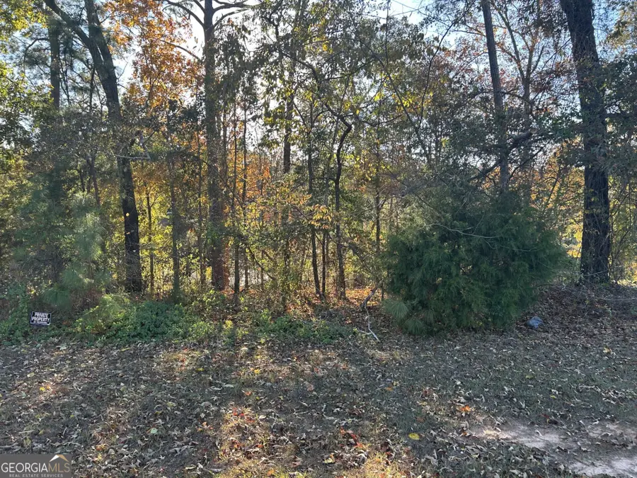 407 Arlington Falls Court, Bonaire, GA 31005 - Image #3