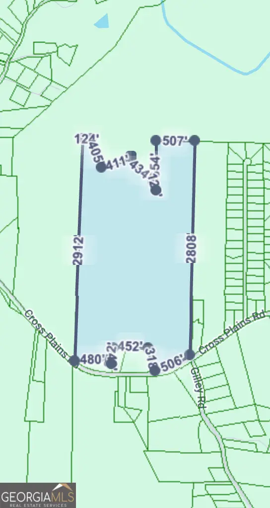 0 Cross Plains Road, Carrollton, GA 30116 - Image #3