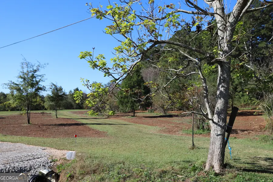 46 Buck Gardner Road, Menlo, GA 30731 - Image #2