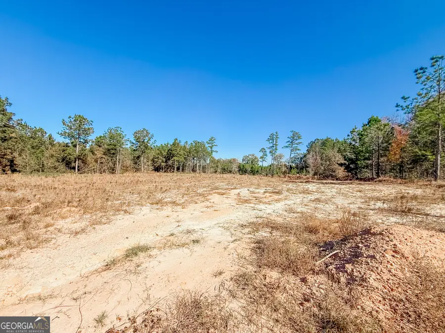 0 B & B Lane, Millen, GA 30442 - Image #2